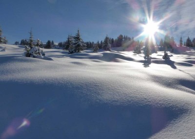 La tourbière en hiver