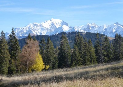 La tourbière des Saisies automne vue Mont Blanc